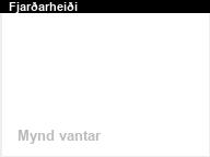 Fjar�arhei�i