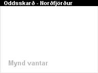 Oddsskar�