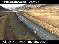 �xnadalshei�i