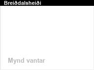 Brei�dalshei�i