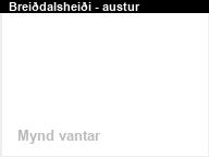 Brei�dalshei�i