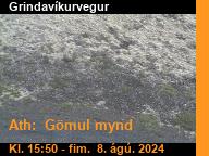 �orbj�rn