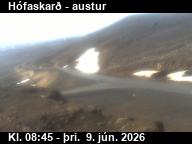 H�faskar�