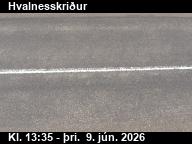 Hvalnesskri�ur