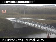 Leirvogstungumelar