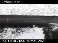 Þröskuldar