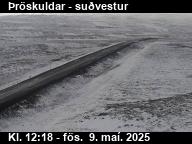 Þröskuldar