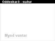 Oddsskar�