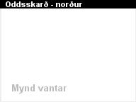 Oddsskar�