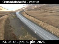 �xnadalshei�i