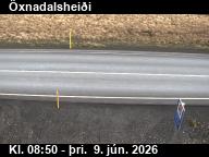 �xnadalshei�i