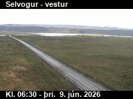 Selvogur