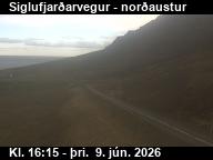 Herkonugil