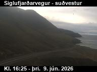Herkonugil
