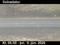 Sv�nadalur