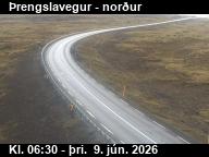 Lyngbrekkur