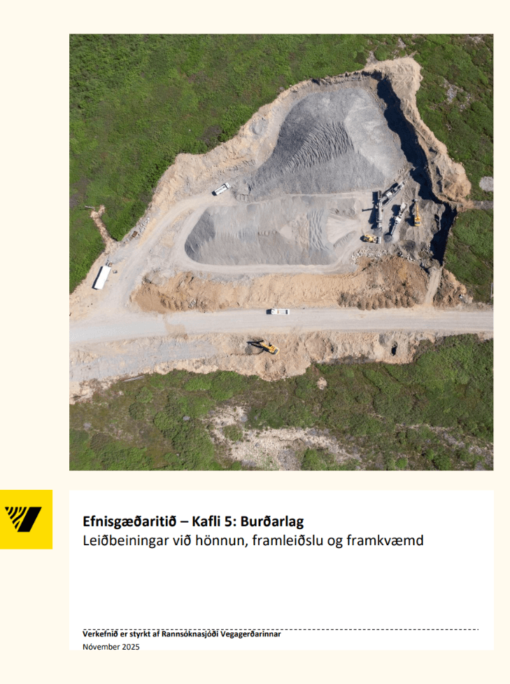 Skjámynd 2026-07-24 090918