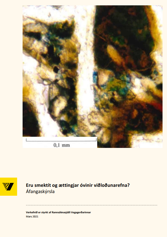 eru smektít og ættingjar óvinir viðloðunarefna.2021