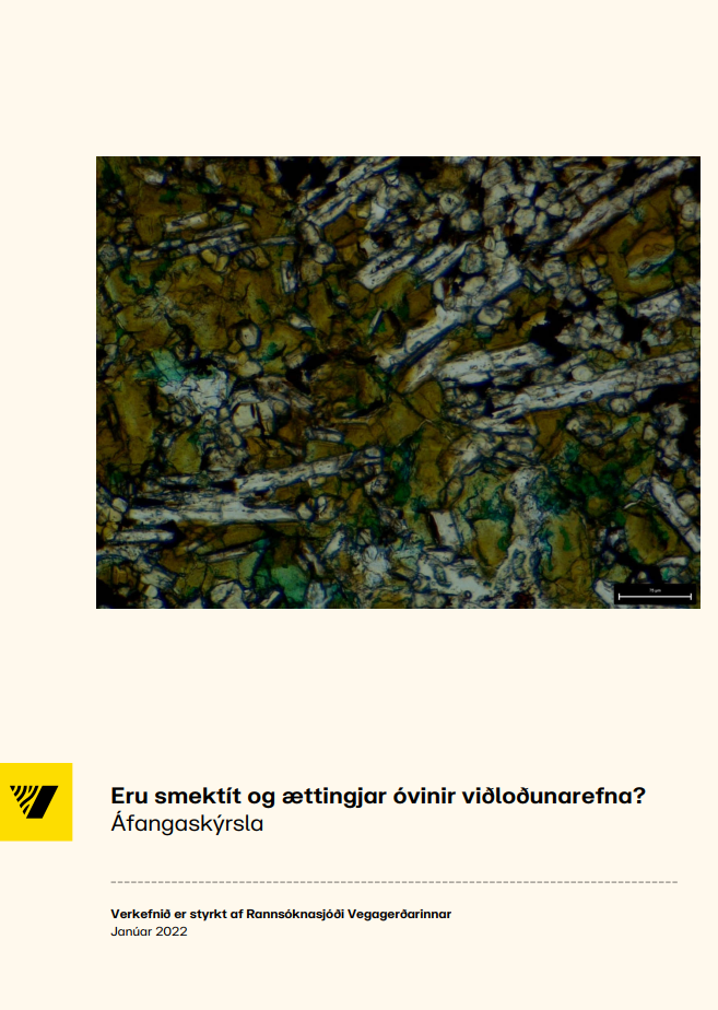 eru smektít og ættingjar óvinir viðloðunarefna