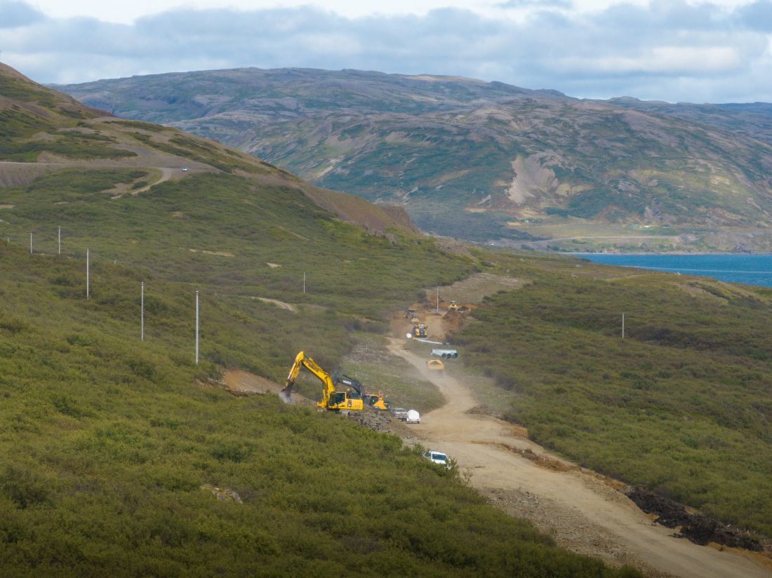Vandað verður til verka í framkvæmdunum í gegnum Teigsskóg og reynt að lágmarka umhverfisáhrif vegarins eins og hægt er.
