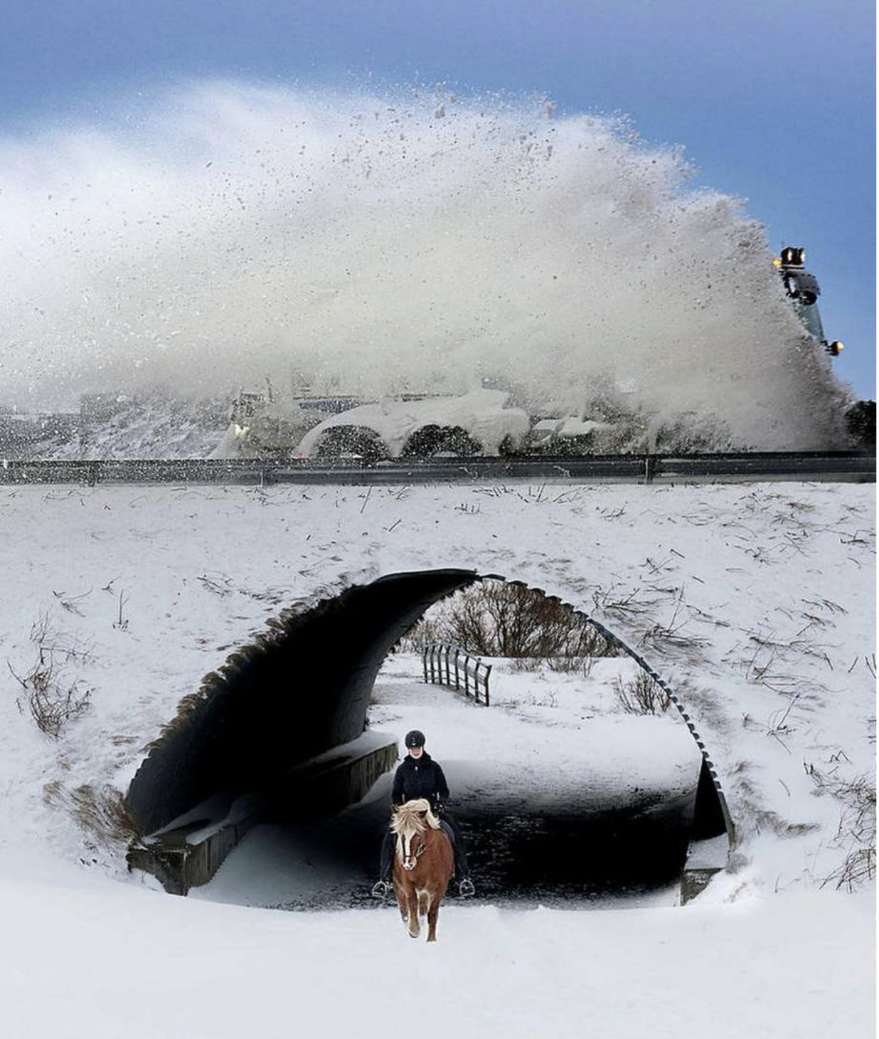 Skjámynd 2025-01-23 140803