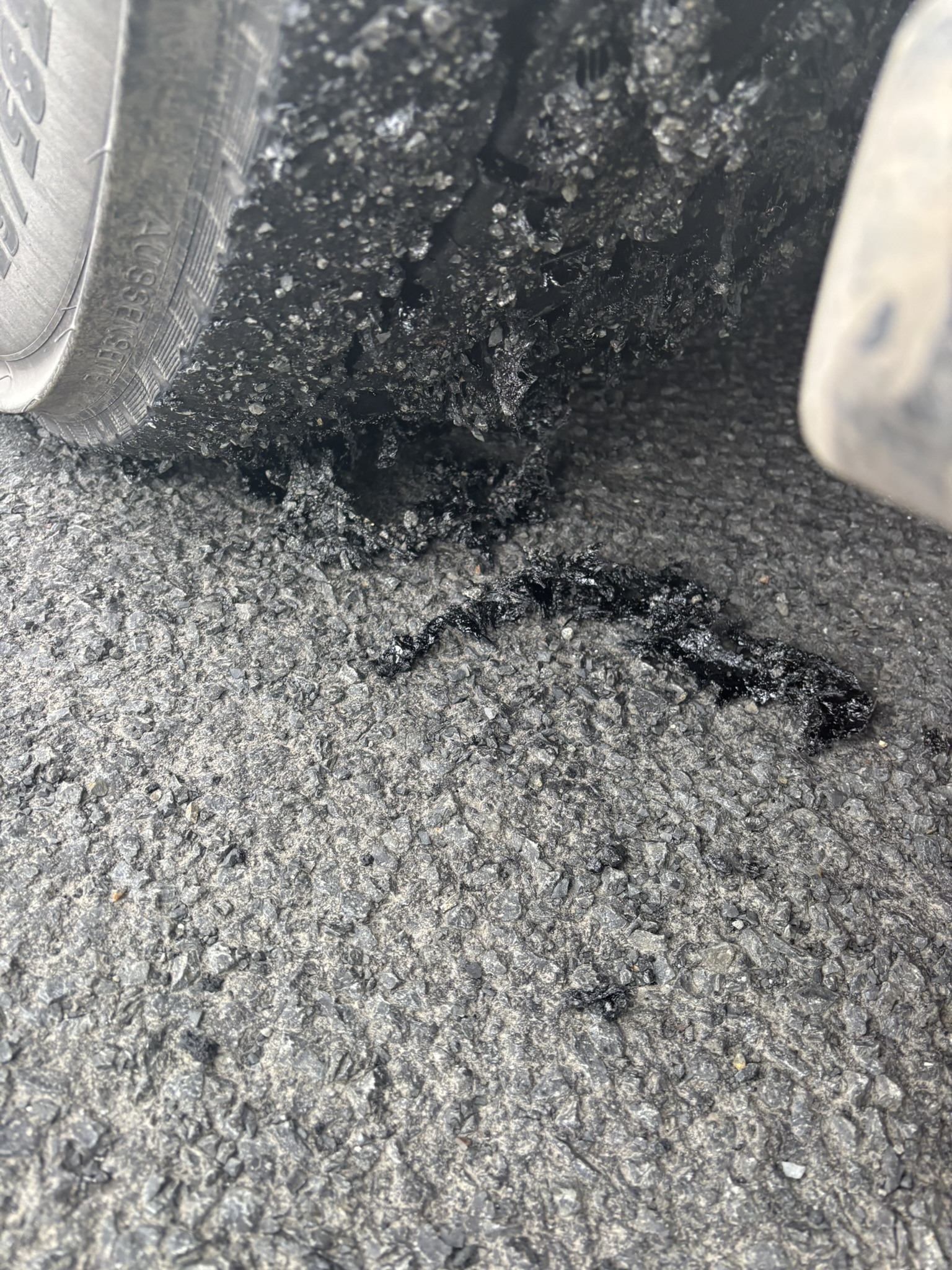 Winter bleed in Western Iceland, February 2025.