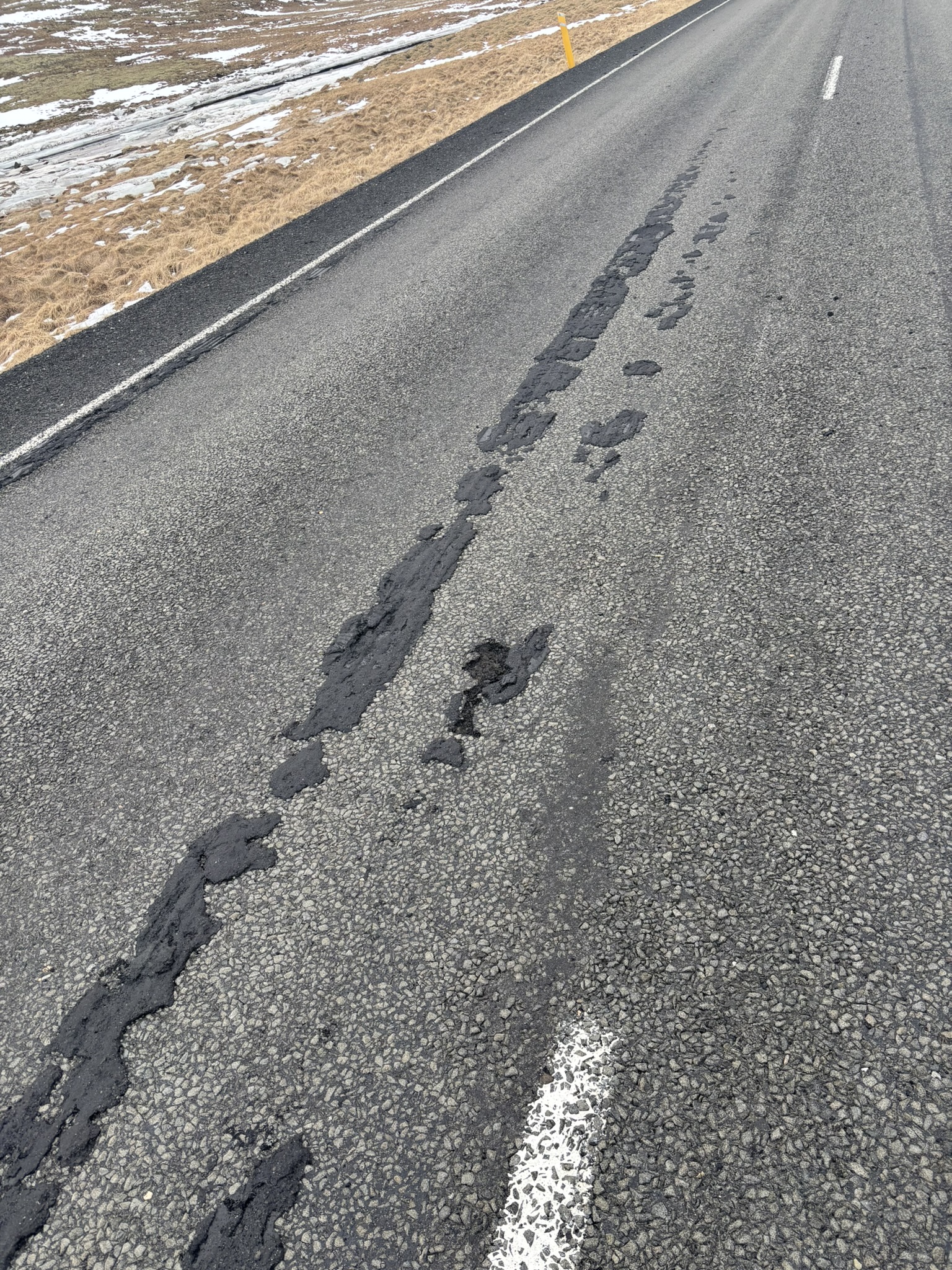 Winter bleed in Western Iceland, February 2025.