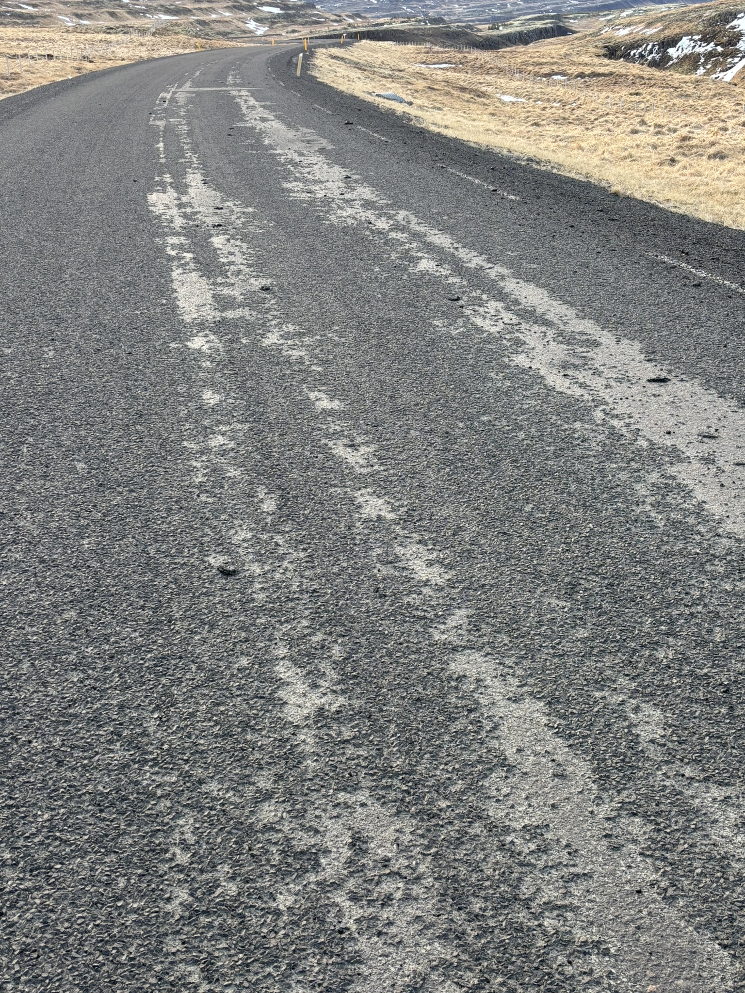 Winter bleed in Western Iceland, February 2025.