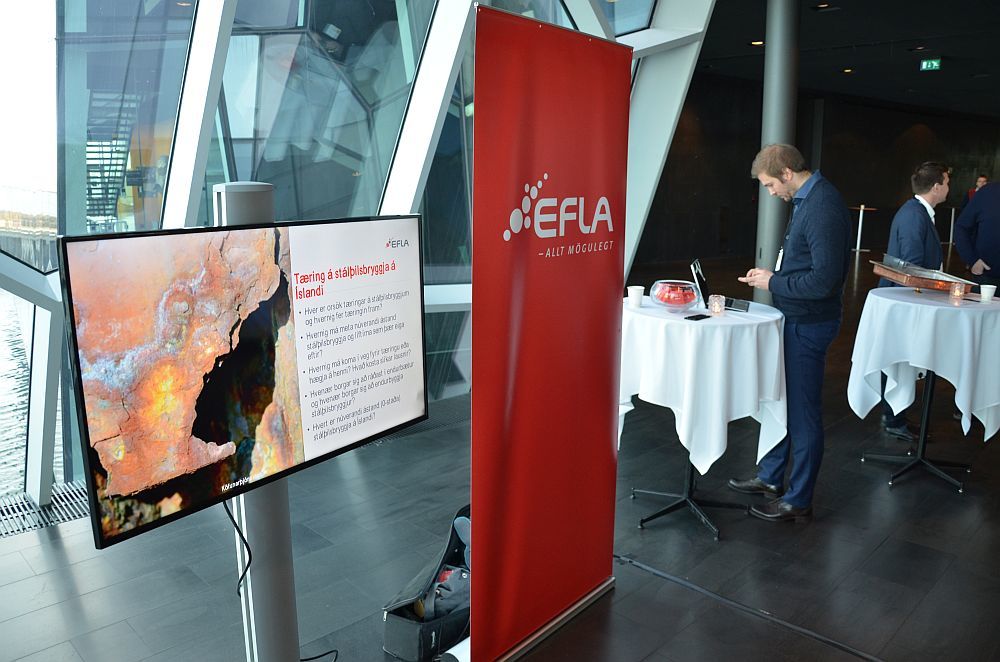 Ýmis veggspjöld voru til sýnis á ráðstefnunni.