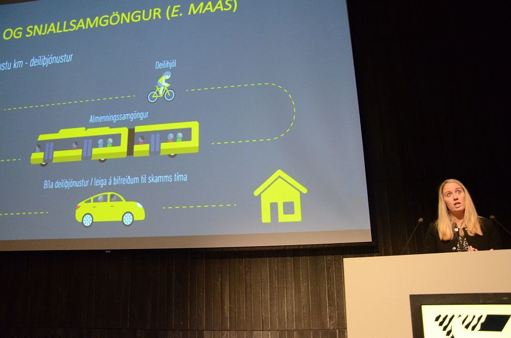 Hrönn Karolína Sch. Hallgrímsdóttir, Mannviti
