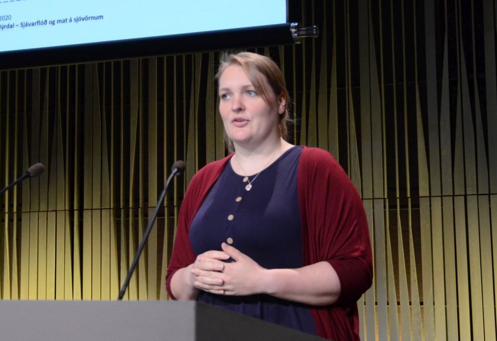 Bryndís Tryggvadóttir, Vegagerðinni.
