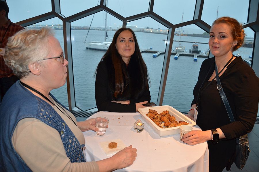 Rannsóknaráðstefna Vegagerðarinnar 2017
