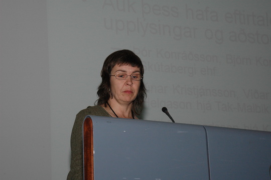 Hafdís Eygló Jónsdóttir, Vegagerðinni