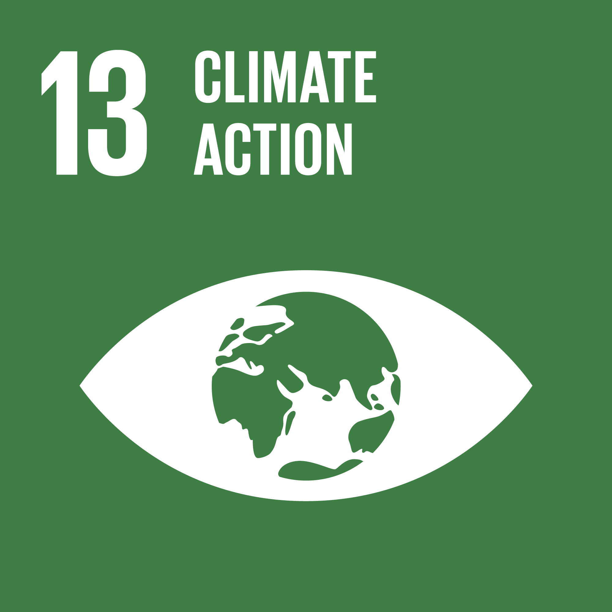 UN Sustainable Development Goal 13: Climate Action.