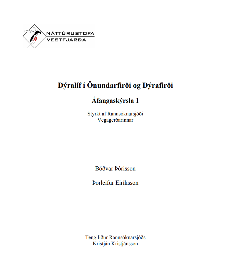 Skjámynd 2025-07-09 095542