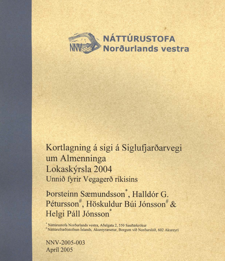 Skjámynd 2025-07-09 103120