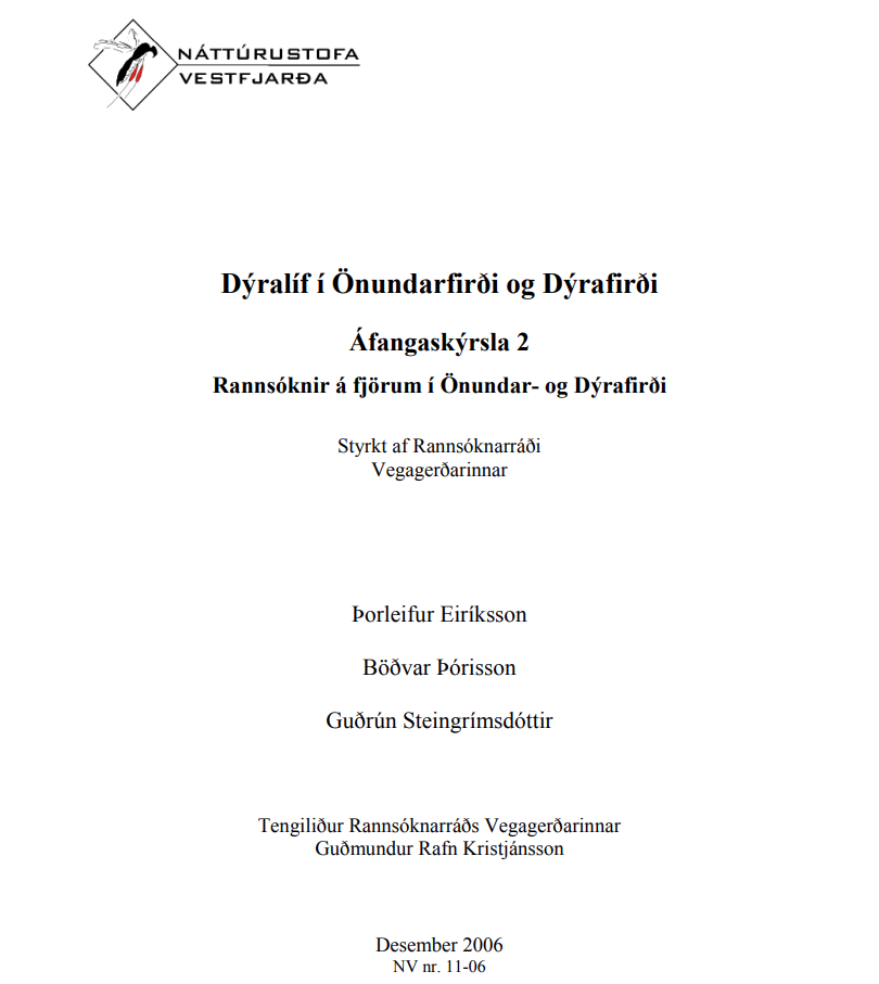 Skjámynd 2025-07-09 124135