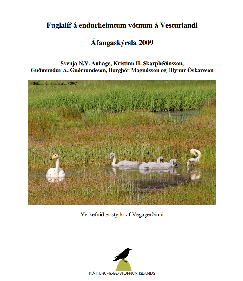 Skjámynd 2025-07-09 154150