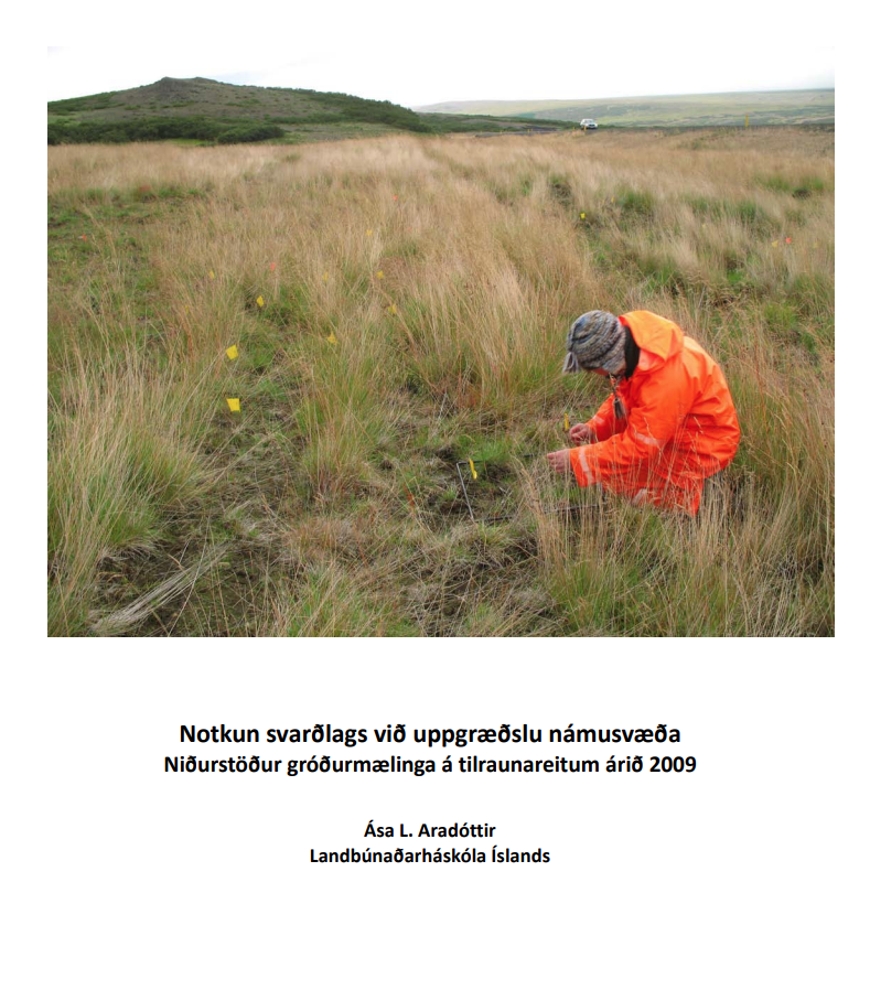 Skjámynd 2025-07-09 154743