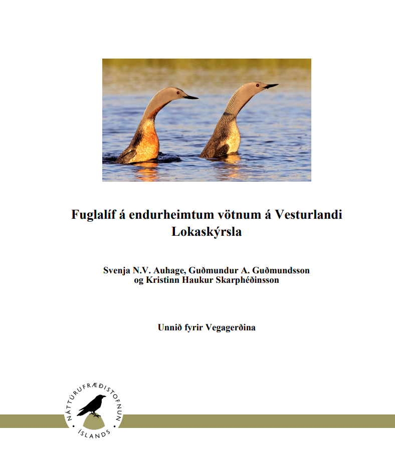 Skjámynd 2025-07-10 122844