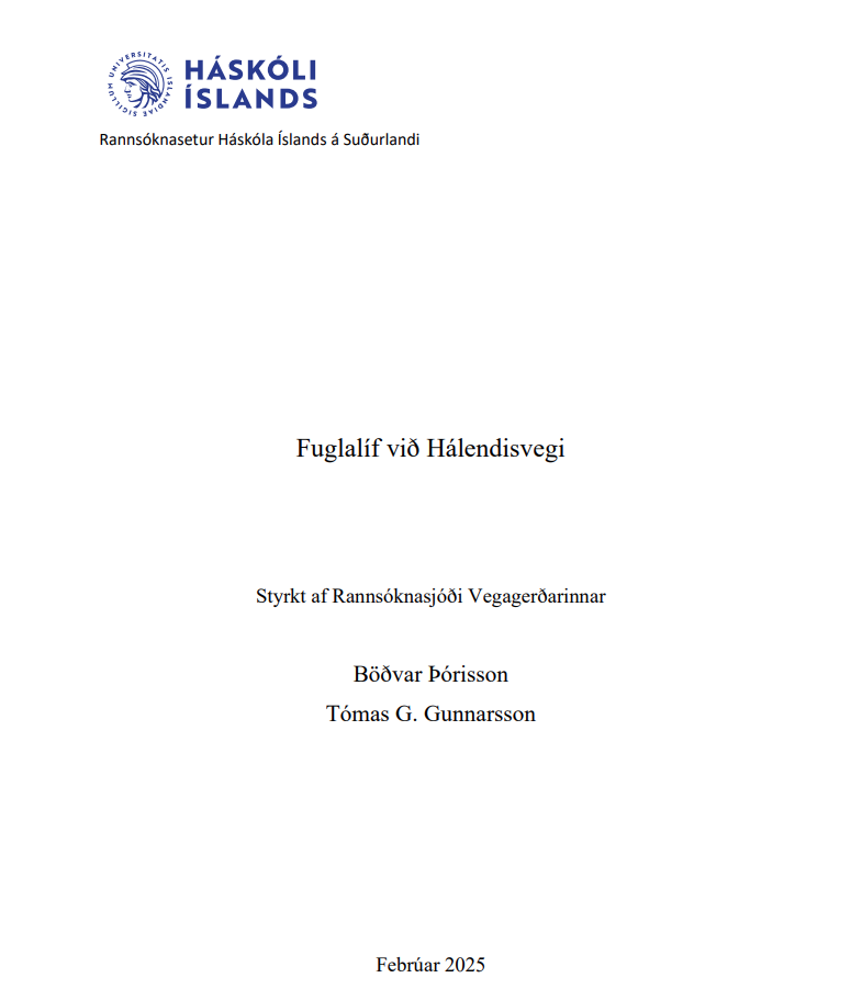 Skjámynd 2025-07-28 135111