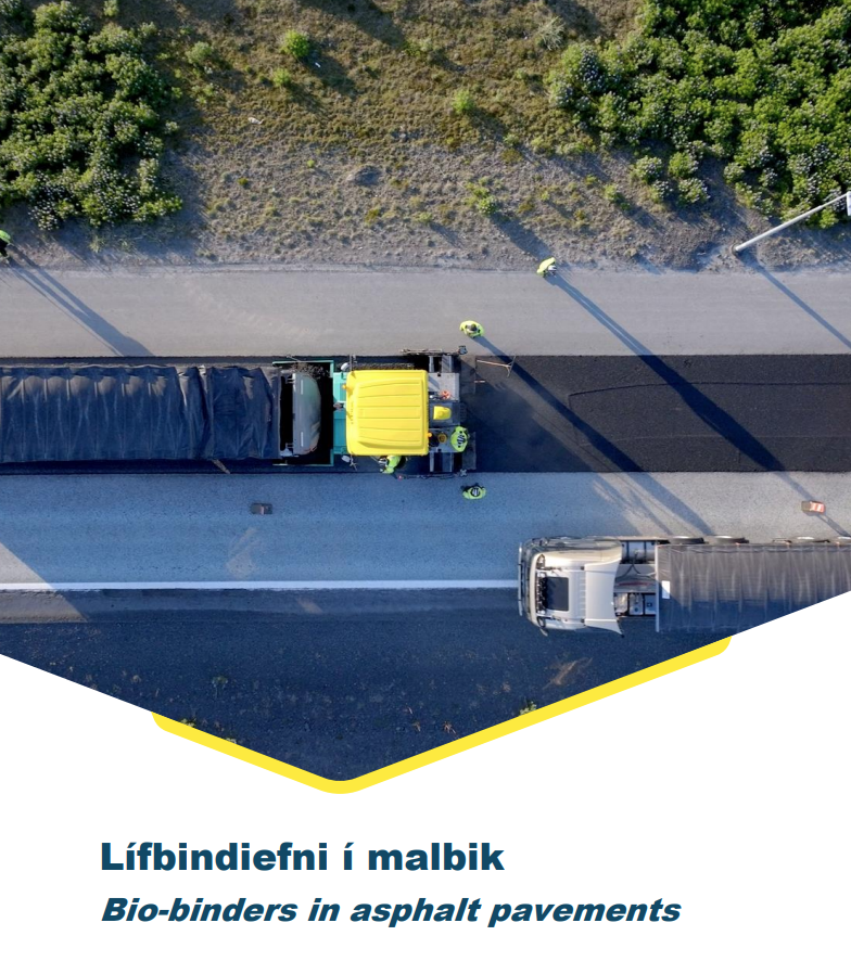 Skjámynd 2025-07-28 140530