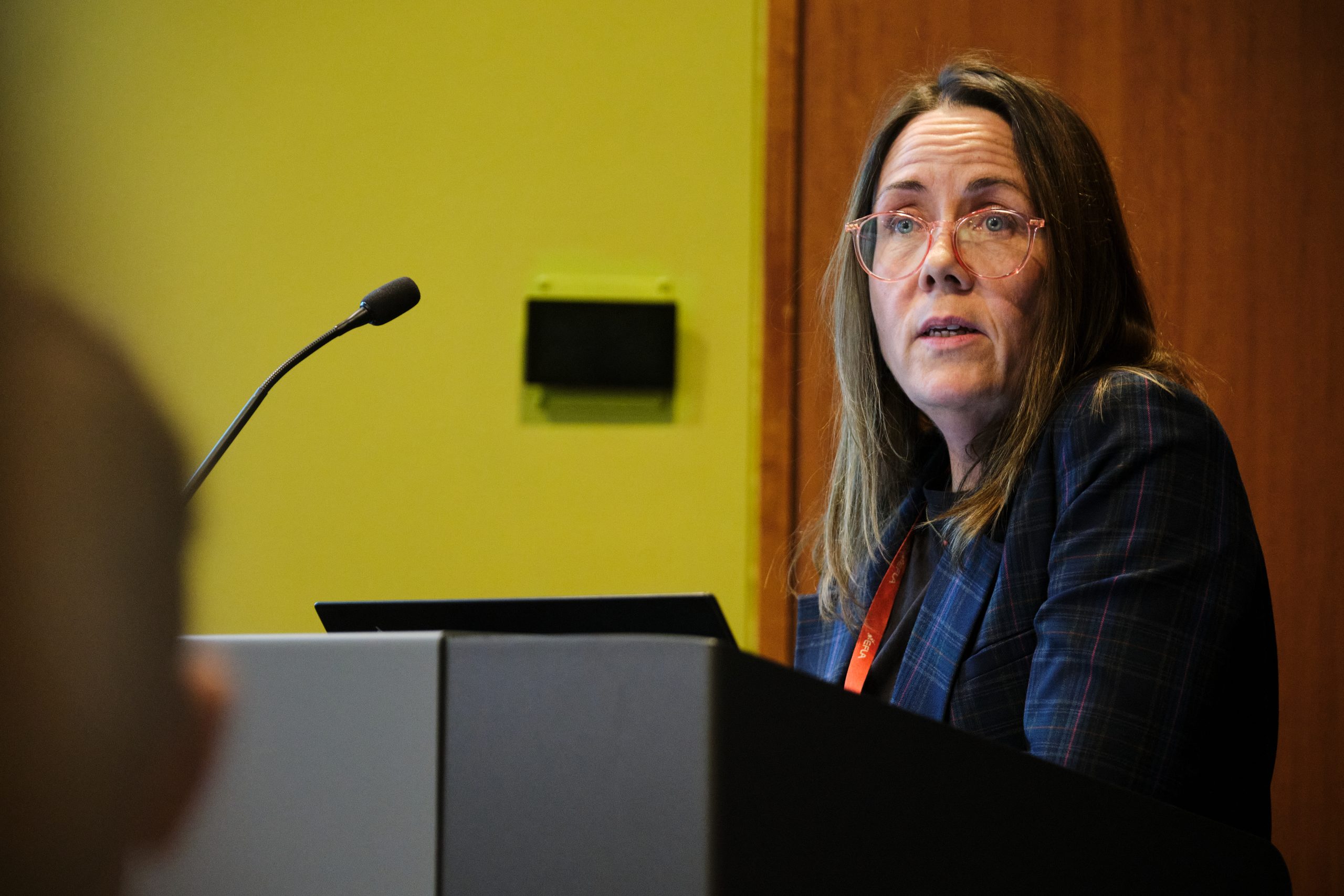 Ragnhildur Gunnarsdóttir, frá verkfræðistofunni EFLU, sem er ráðgjafi við gerð umhverfismatsskýrslunnar, fjallaði um afmarkaða þætti umhverfismatsins.