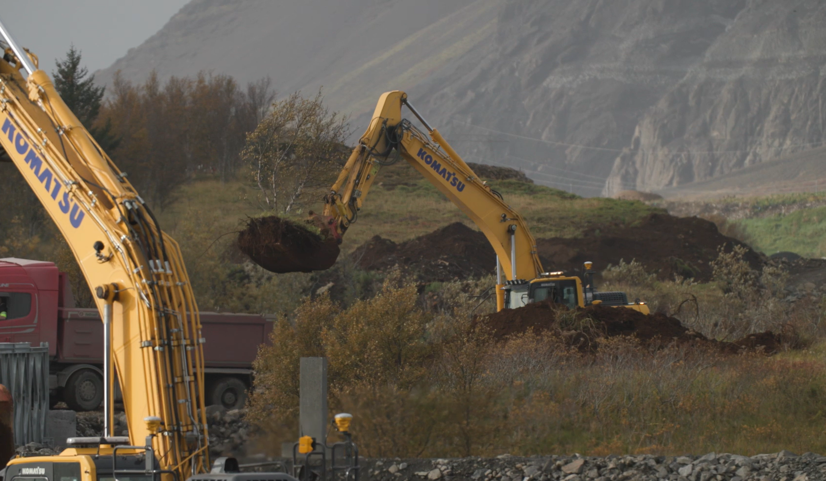 Stór birkitré voru flutt úr Efri-Laugardælaeyju til framhaldslífs í landi Laugardæla.