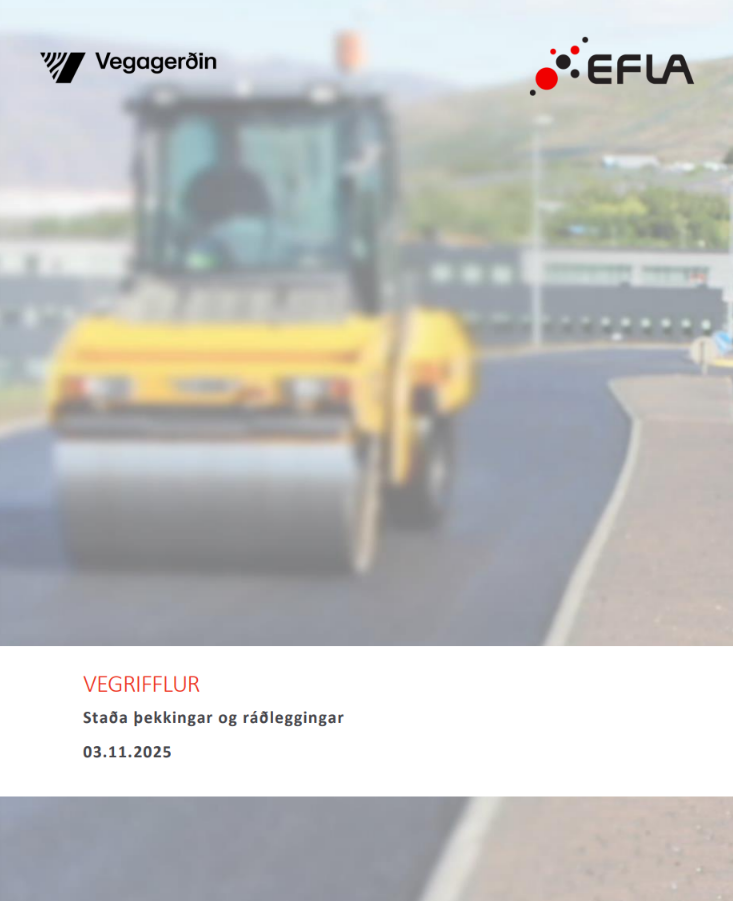 Skjámynd 2026-01-28 110600