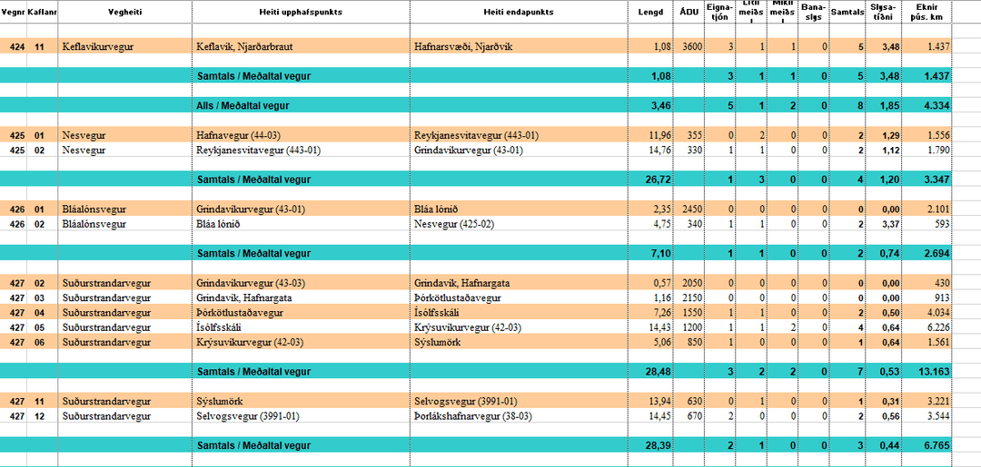 mynd af excel skjalinu slysatíðni 2021
