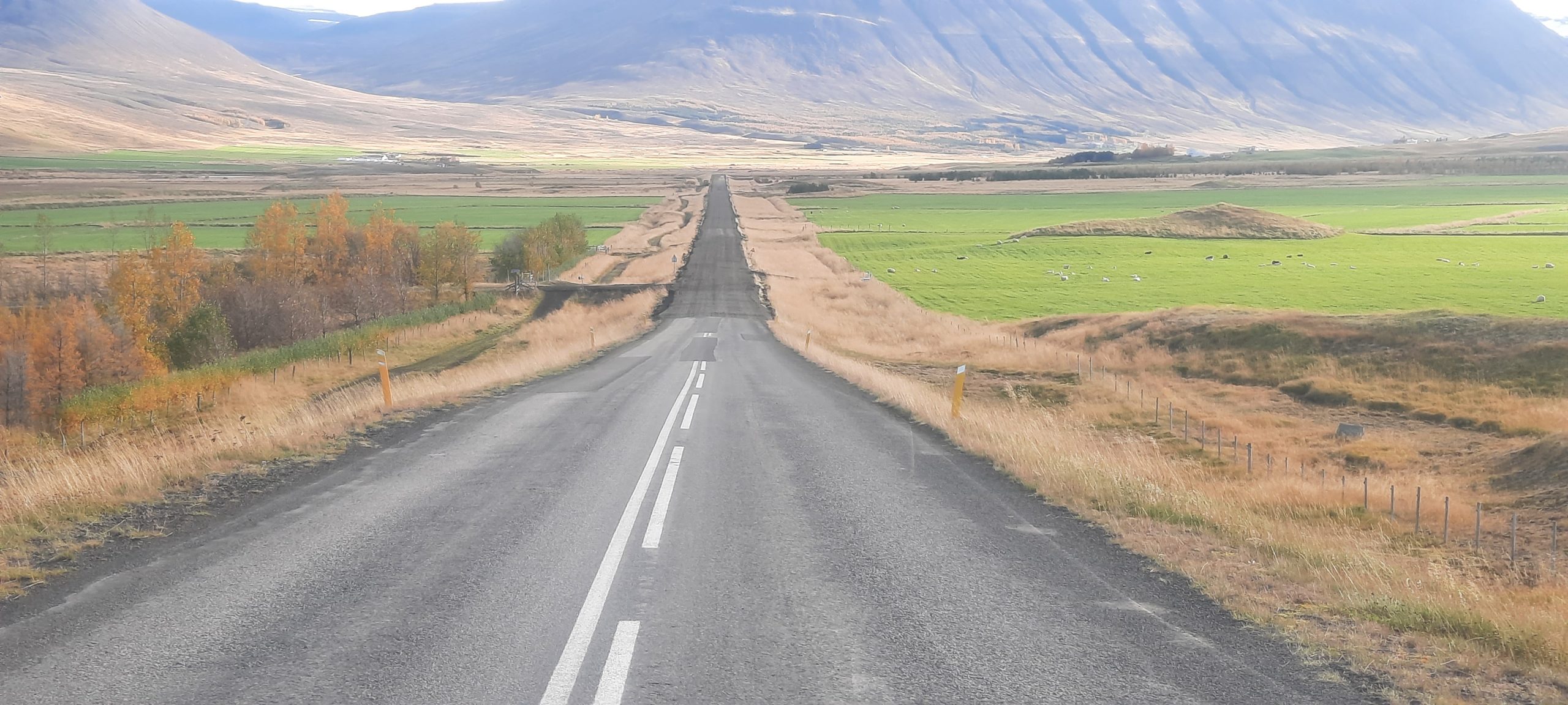 Þrír kaflar verða lagaðir á leiðinni frá Hringvegi og upp að Hólum í Hjaltadal.