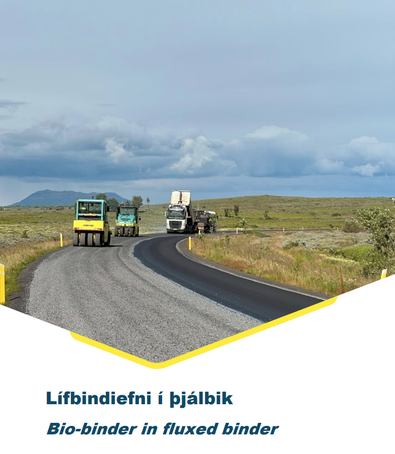 Skjámynd 2025-07-28 142011