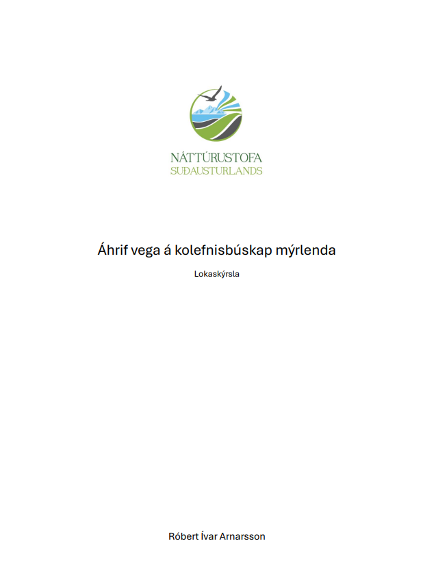 Skjámynd 2026-07-02 110833