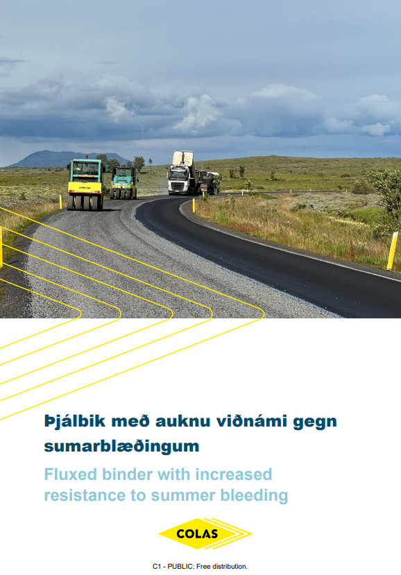Skjámynd 2026-07-02 112215